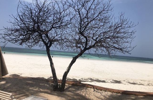 Relax and rejuvenate in South Coast of Kenya: Beach front property sleeps 6 ,