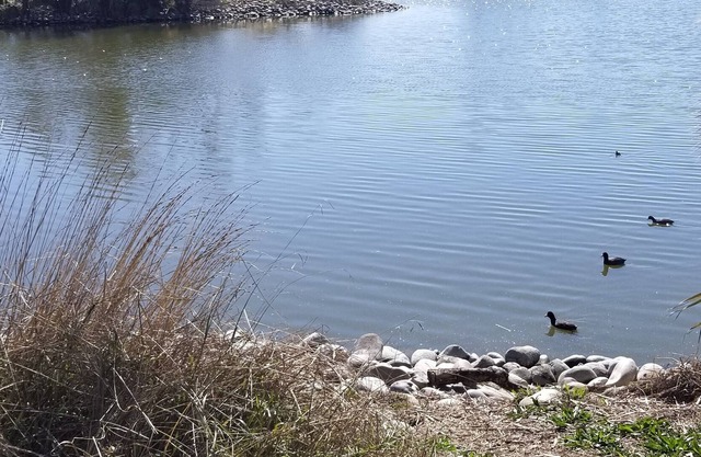 Relax. Enjoy. Create memories.