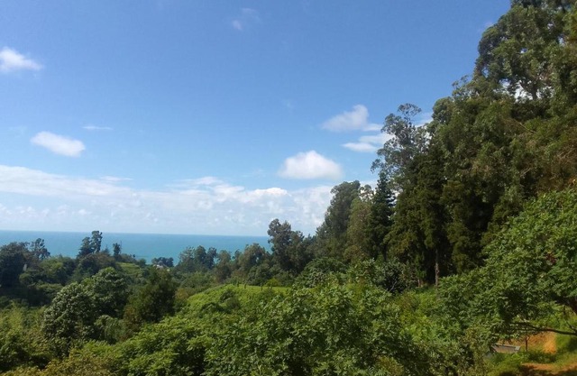 Relax in Tsikhisdziri