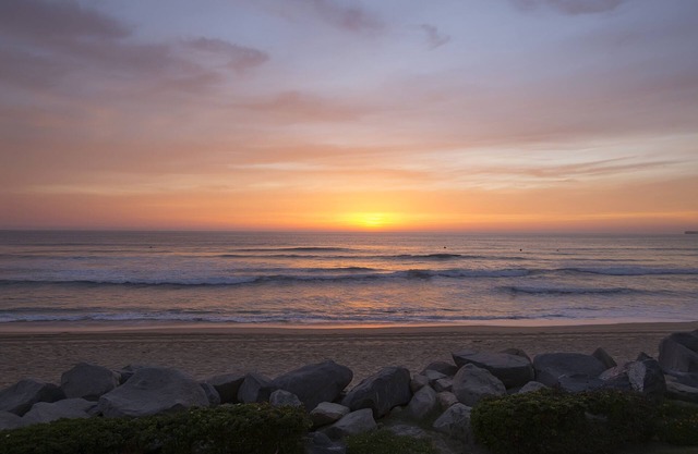 Relax on the deck patio or beach and watch the dolphins frolicking in the wavesn