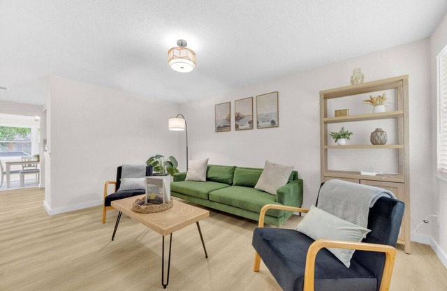 Relaxing Apollo Oasis