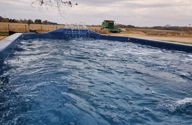 Relaxing farmhouse located near Rozetta, Illinois. Can sleep up to 8 people.