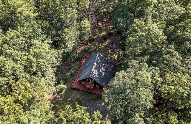 Remote Cabin Surrounded by Wilderness