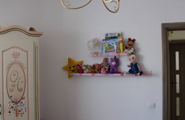 Rental house for guest
