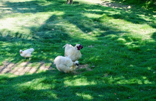 Residence "To the beach" on the seafront