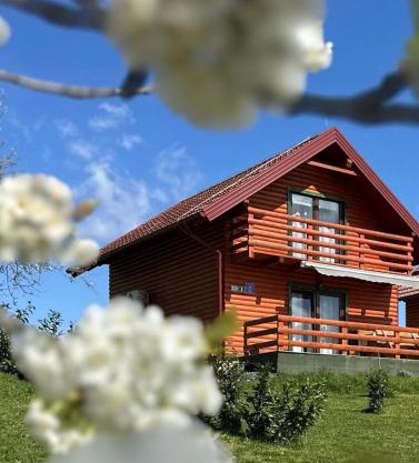 Resort Dudukovic 1