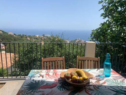 Rez de villa avec terrasse vue mer