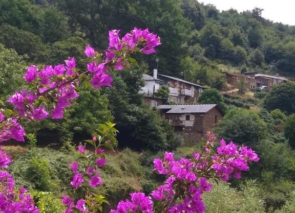 Ribera Sacra (apartamento Rural)