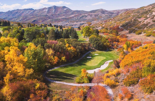 Right off Main St, Spring Acres Arts Park Close!