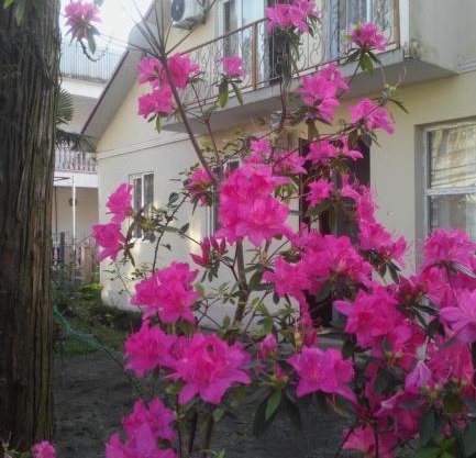 Rimma's Place