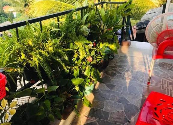 River Mount View Hotel