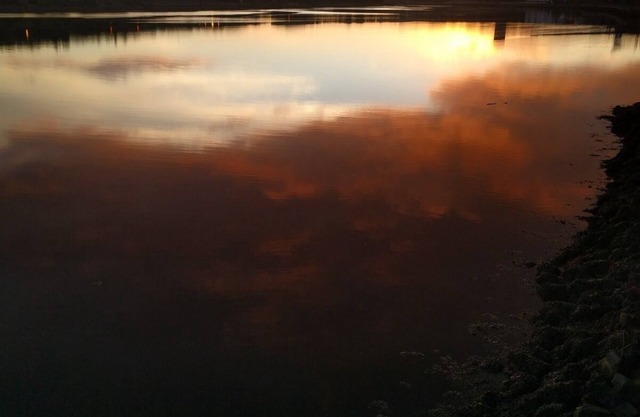 Riverside Home. 3 Bedroom. Free Parking. 10 mins to Newcastle Centre