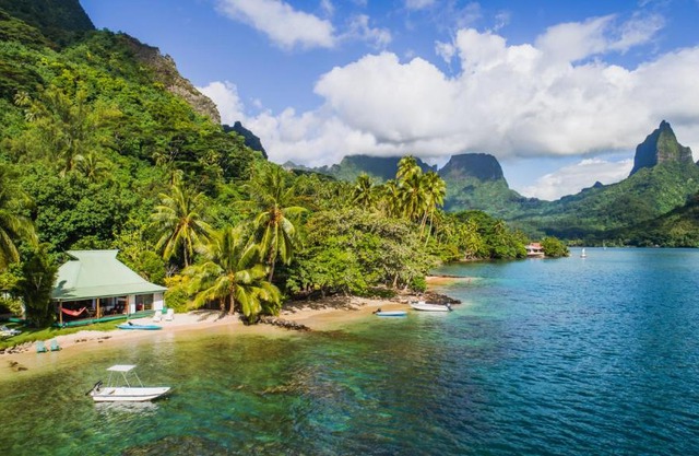 Robinson's Cove Villas - Deluxe Cook Villa