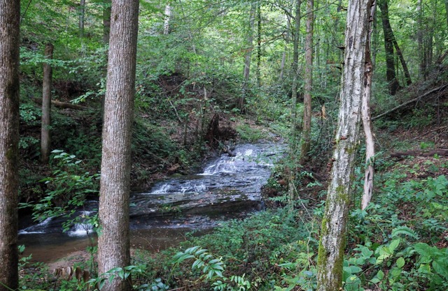 Romantic Riverside Retreat with Waterfall Trail at Your Door