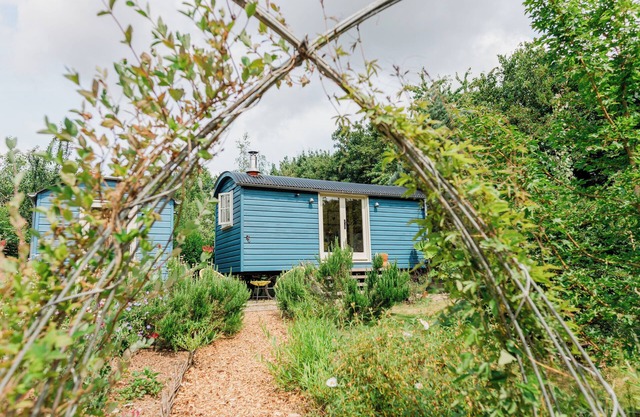 Romantic shepherds hut with woodland hot tub- close to Dartmoor, Coast & Totnes