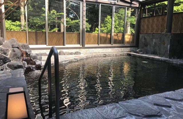 Room only Executive Suite 72mPets not allowed /Suntogun Shizuoka