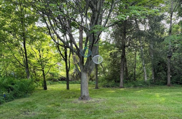 Rustic Ipperwash Guesthouse