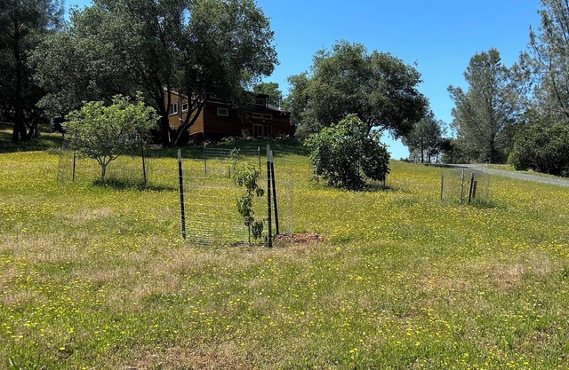 Rustic Studio Getaway Pet Friendly