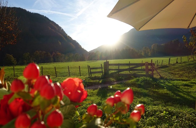 Rustic vacation apartment at home, rural - quiet location with fully equipped kitchen