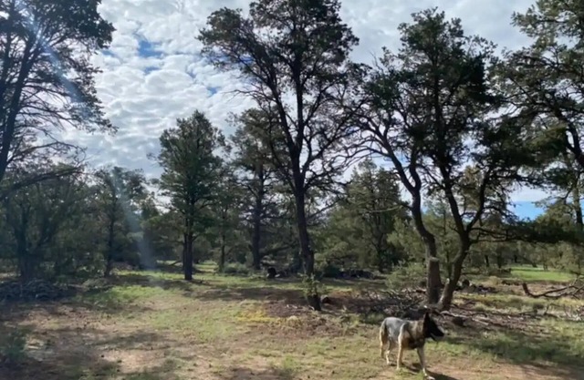 RV Mountain Getawaynn