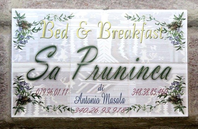 Sa Pruninca