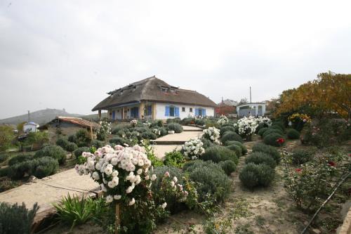 Safari Danube Delta