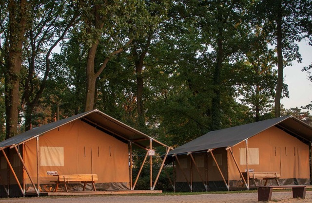 Safari tents on the beach at Ternscher See
