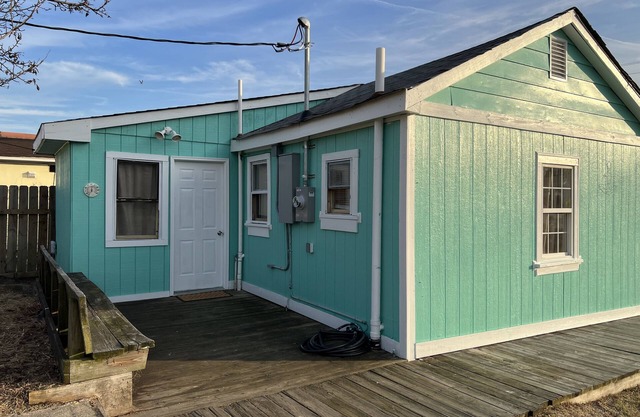 Sandy Mutts at the Beach