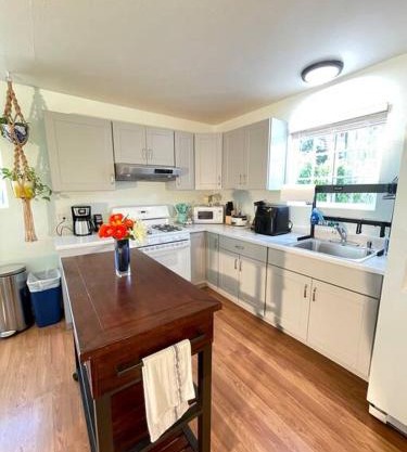 Santa Barbara Serenity Large 1-bedroom Guest Apt.