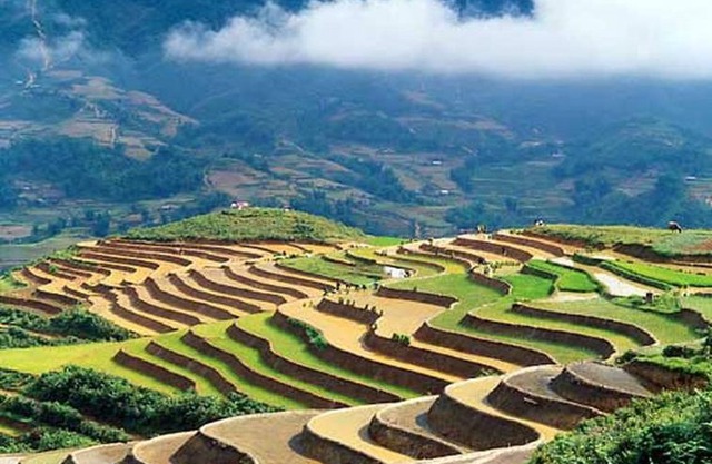 Sapa Homestay Trekking Tour For Backpackers