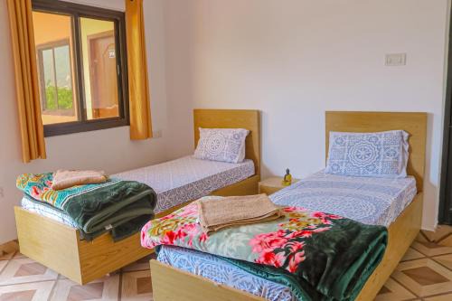 Satya Yoga Ashram Rishikesh