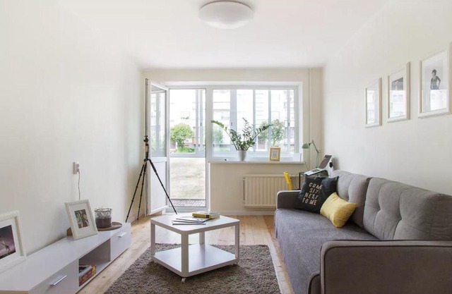 Scandinavian style apartment