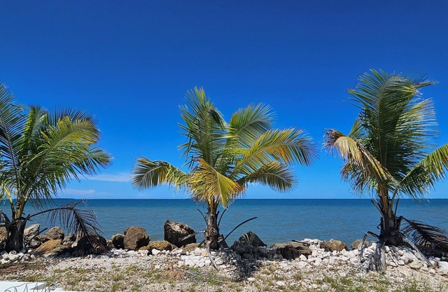 Seaside Serenity – Oceanfront Villa with Infinity Pool & Garden Sanctuary