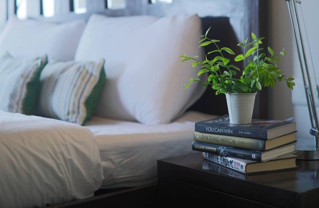 Seclude Kasauli-Morning Has Broken