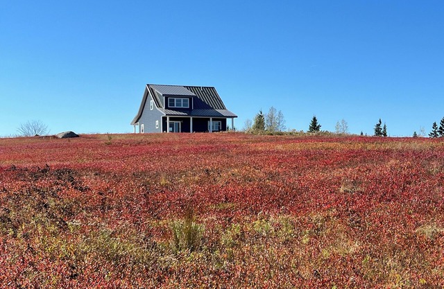 Secluded blueberry field retreat with sweeping 360 views.