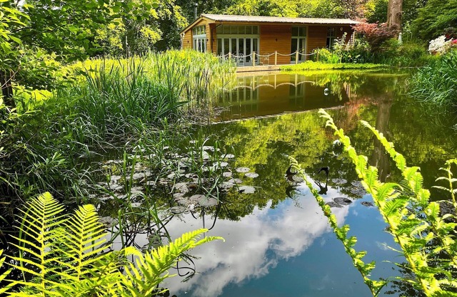 Secluded, New Forest Riverside Lodge