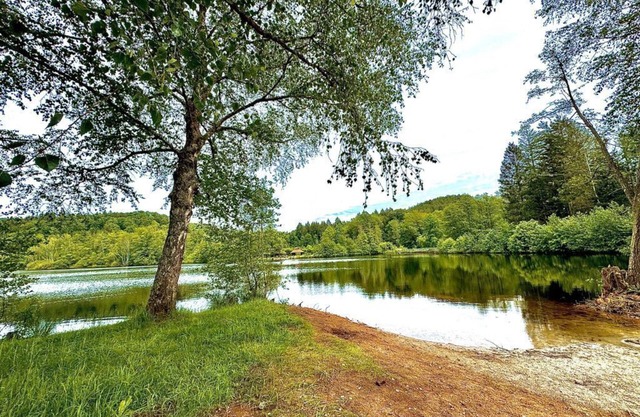 Seehaus Luwi Royal - vacation home, shower and bath, WC, 3 bedrooms