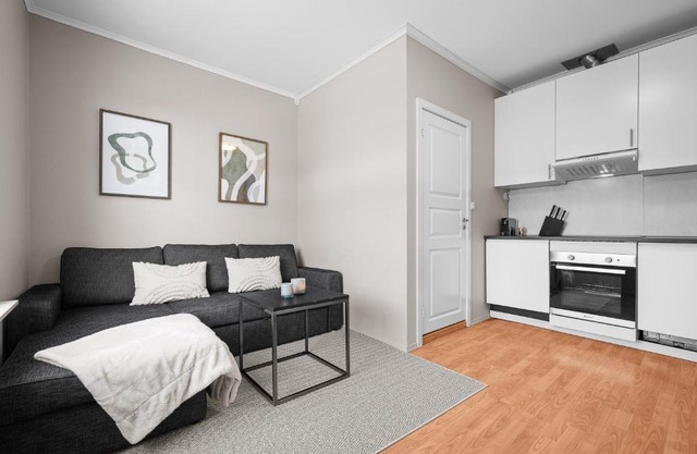 Sentral 1BR i Porsgrunn - P Apartments