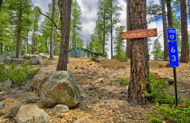 Serene 70's Retro Retreat