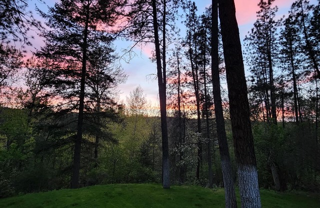 Serene Hideaway near nature and the Little Spokane River