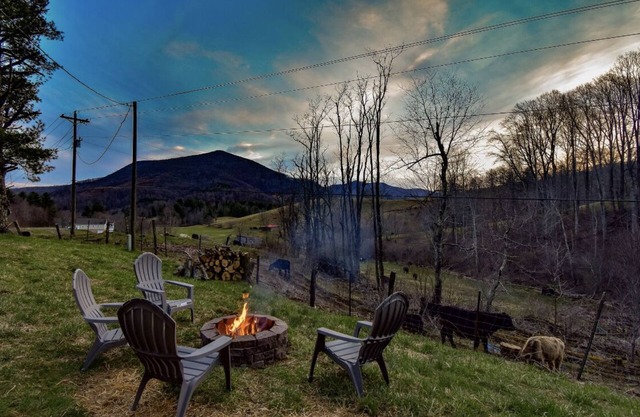 Serene Pine Tree Meadows Cottage w/Stunning Views