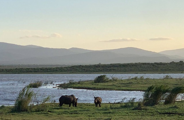 Shayamoya Tiger Fishing and Game Lodge