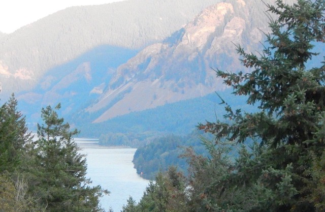 Shellrock Cabin with Columbia River View