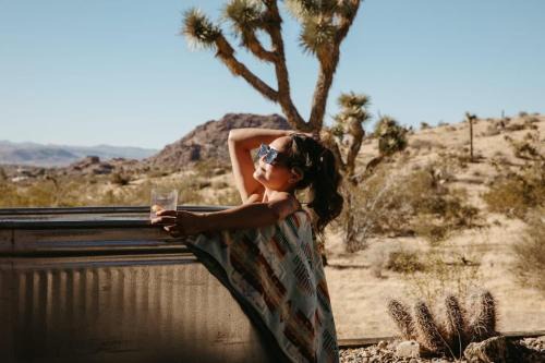 Shelter 1- A Classic- At Joshua Tree Park Entrance