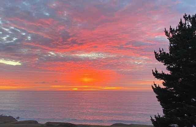 Shelter Cove Wow! What a view!