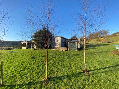 Shepherds hut-hot tub-dog friendly -views