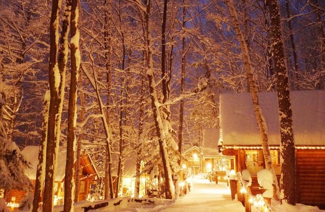 Shin Furano Prince Hotel