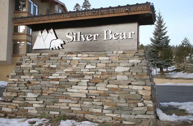 Silver Bear 20