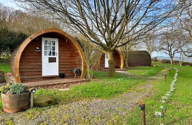 Silverbirch Glamping Pod