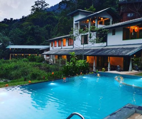 Sinharaja Forest Edge